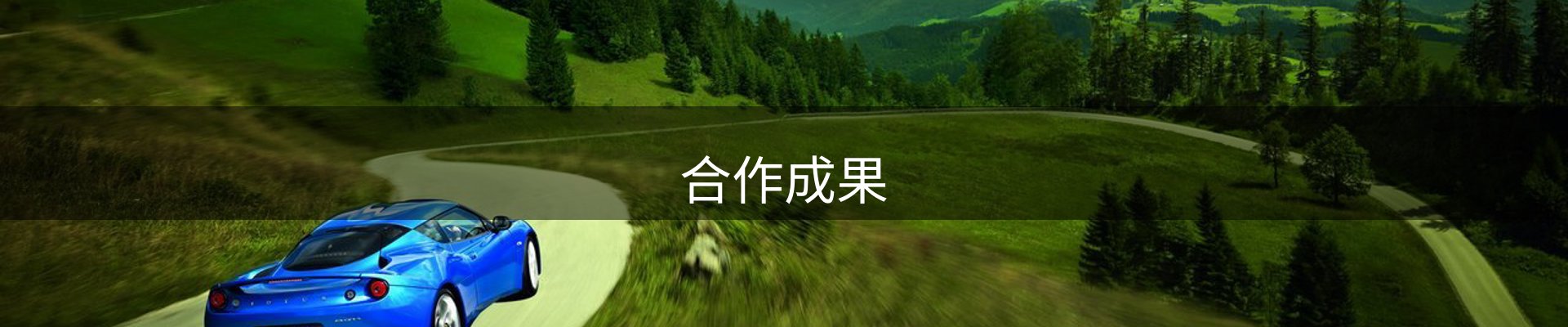 合作成果